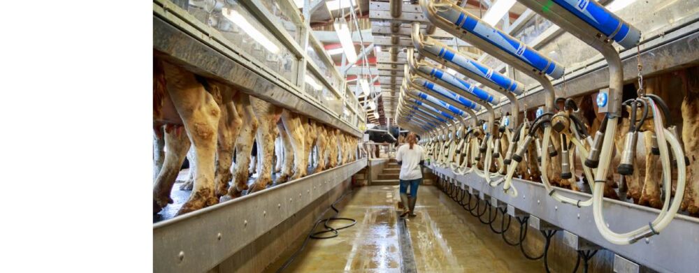 A case study picture